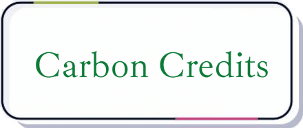 Carbon credits rewards program